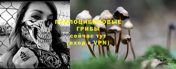 прущая мука Тайга