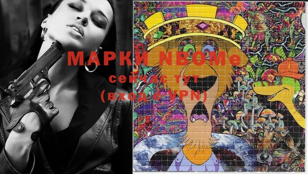 СК Вяземский