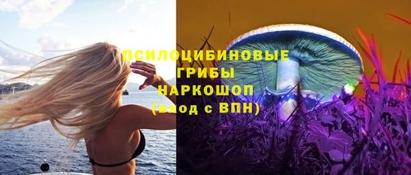 СК Вяземский